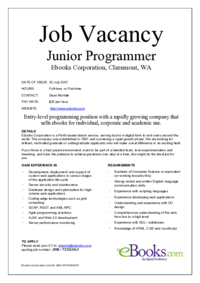 Junior Programmer.pdf